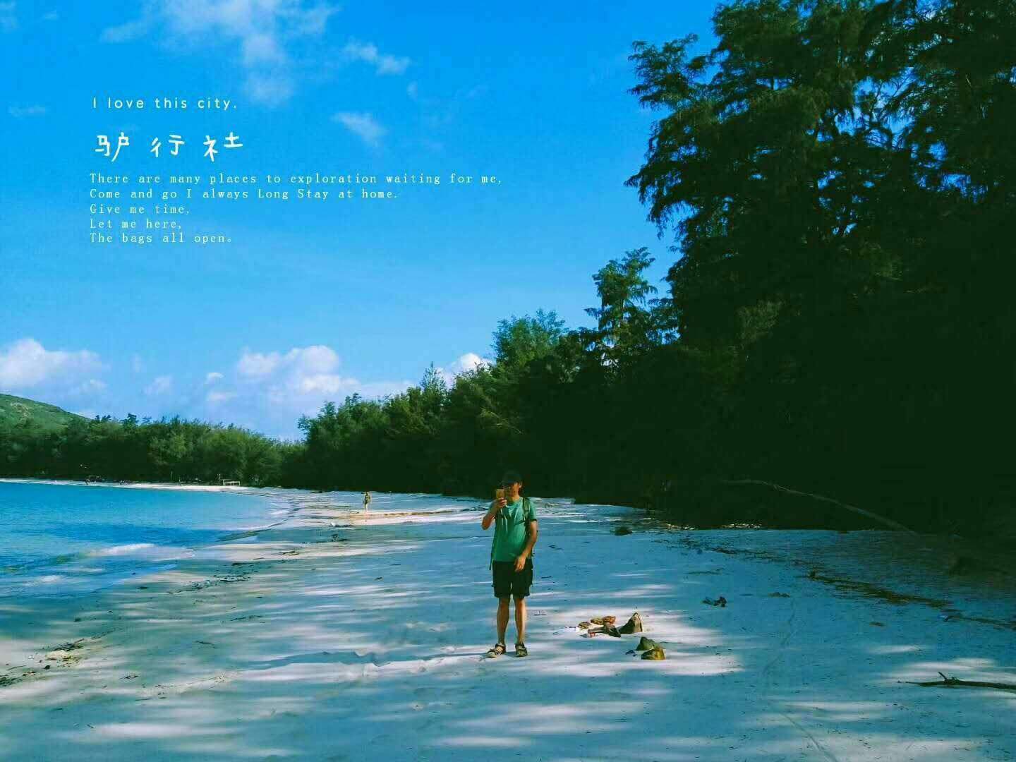 植物大战僵尸14